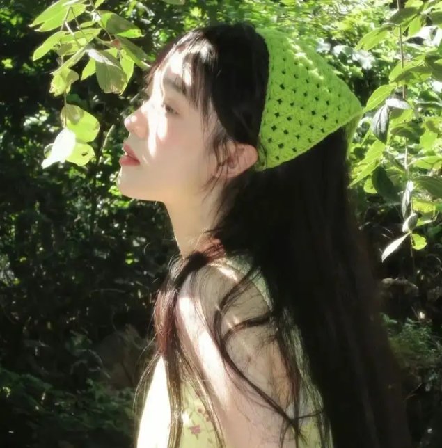 后宫之乌
